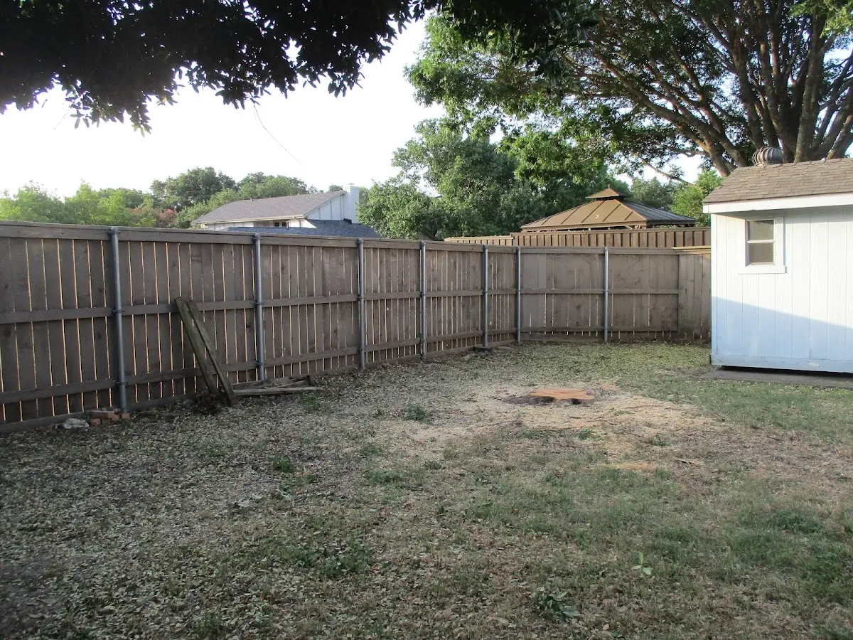 Cleared yard after professional tree removal in Felton